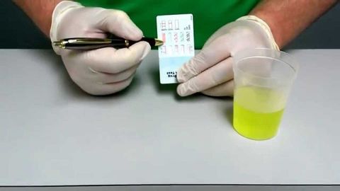 Methamphetamine tồn tại bao lâu trong cơ thể?