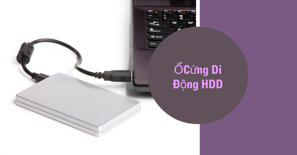 Ổ Cứng Di Động HDD: Lựa Chọn Tốt Nhất cho Lưu Trữ Dữ Liệu Di Động