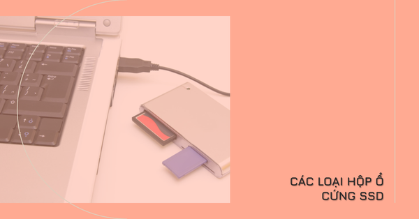 Các loại hộp ổ cứng SSD