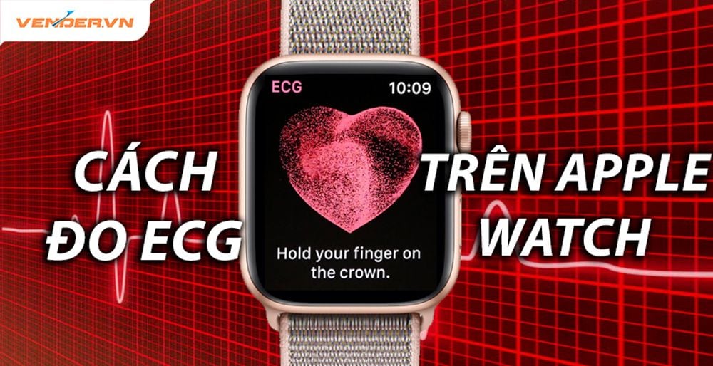Cách đo điện tâm đồ ECG trên Apple Watch tại Việt Nam