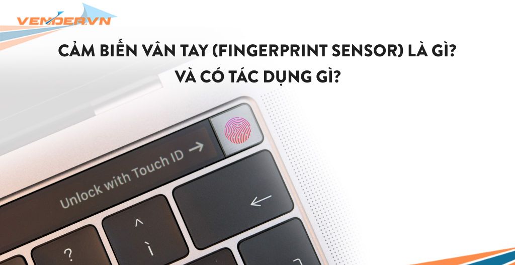 Cảm biến vân tay (Fingerprint Sensor) là gì và có tác dụng gì?