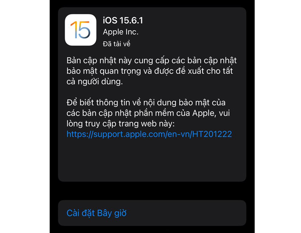 Nâng cung cấp tức thì iOS 15.6.1 và iPadOS 15.6.1 nhằm sửa lỗi bảo mật thông tin quan liêu trọng
