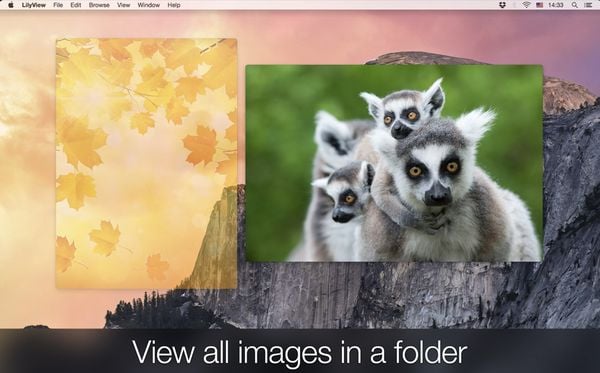 ứng dụng cơ bản nên cài trên MacBook LilyView