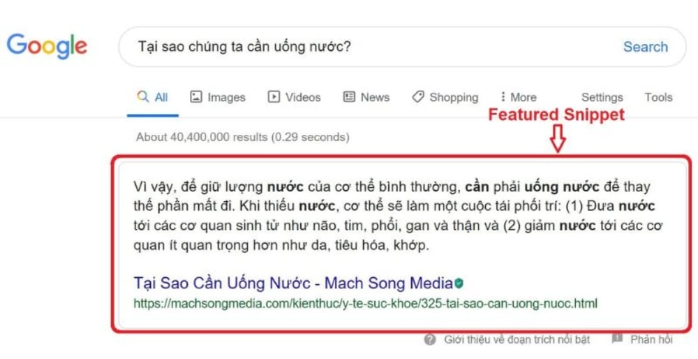 Snippet dạng đoạn văn