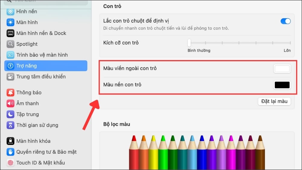 Chọn màu nền và viền con trỏ chuột MacBook theo sở thích.
