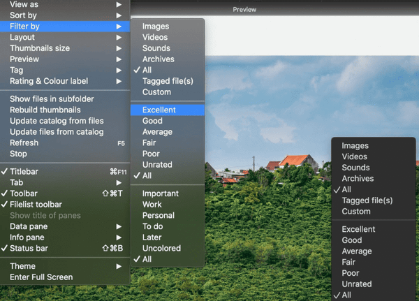 XnView MP có thể hoạt động mượt mà trên máy Mac