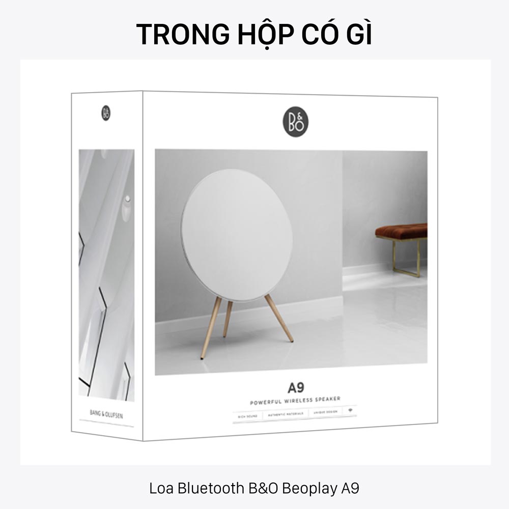 Có gì trong hộp Tai nghe B&O Beoplay HX