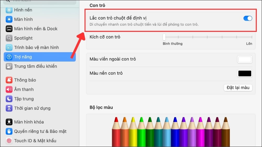 Bật tuỳ chọn Lắc con trỏ chuột để định vị.