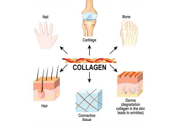 Co-nen-bo-sung-collagen-dang-uong