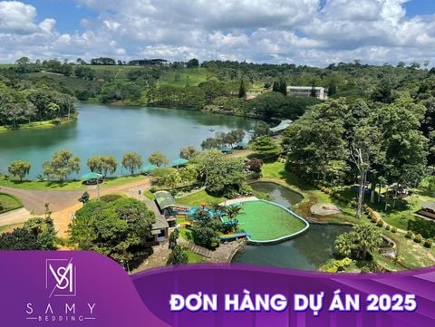ĐƠN HÀNG NỆM + ĐỒ VẢI CHO DỰ ÁN CAO CẤP TẠI DAMBRI, BẢO LỘC