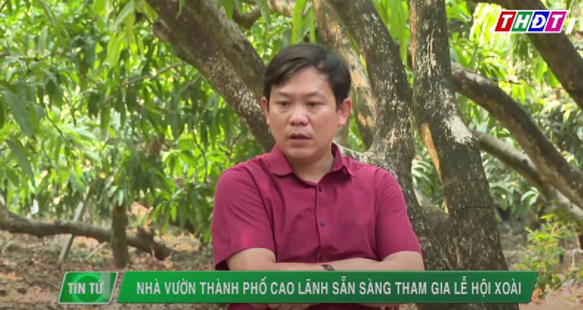 Nhà vườn Thành phố Cao Lãnh sẵn sàng tham gia Lễ hội Xoài | THDT