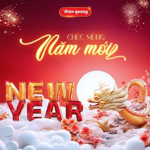 DIEN QUANG GROUP - HAPPY DRAGON NEW YEAR