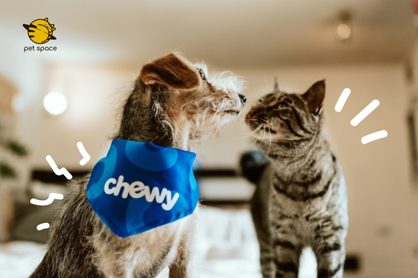 Vòng Cổ Chống Ve Rận Tốt, Chính Hãng, Giá Tốt | Mua Online tại Lazada.vn