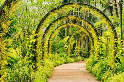 Mục sở thị 7 vườn lan đẹp nhất thế giới