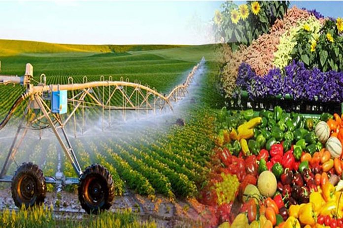 Nông nghiệp hữu cơ là gì? Lợi ích, triển vọng, thử thách và giải pháp