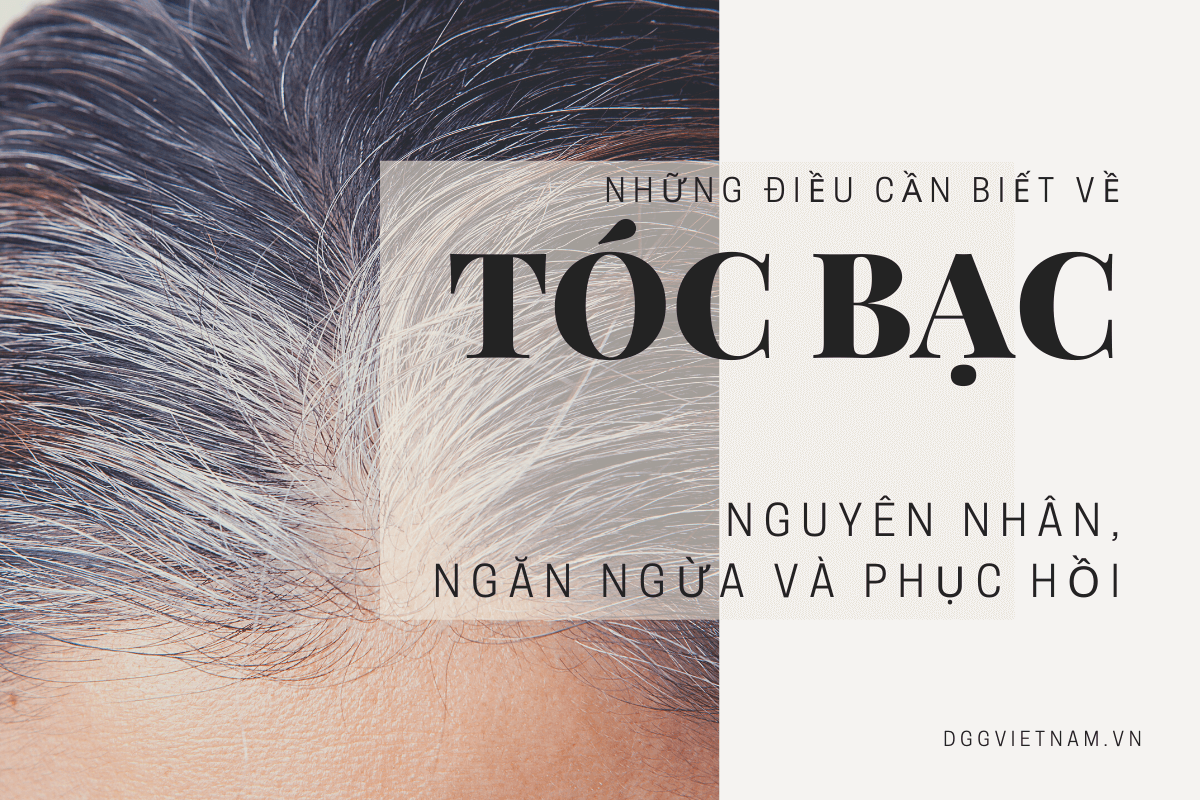 Những điều cần biết về tóc bạc: nguyên nhân, cách ngăn ngừa và phục hồi