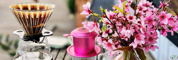 WHAT IS SPECIALTY COFFEE?