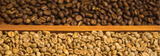 HOW IS COFFEE PROCESSED?