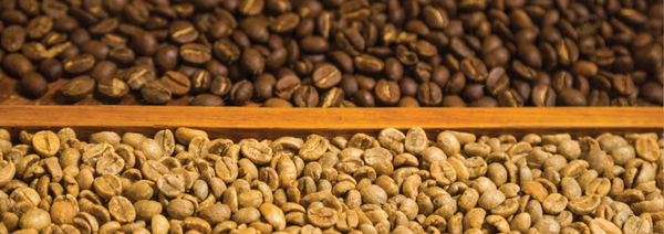 HOW IS COFFEE PROCESSED?