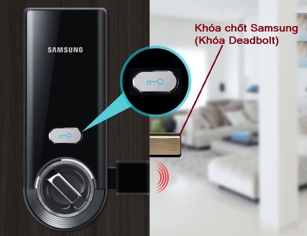 So sánh các loại khóa cửa điện tử Samsung