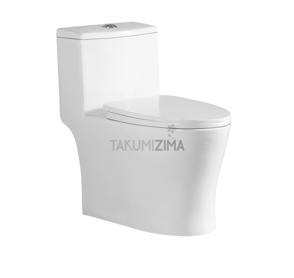 One-piece toilet and hanging toilet