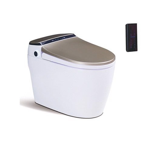 Smart Toilet