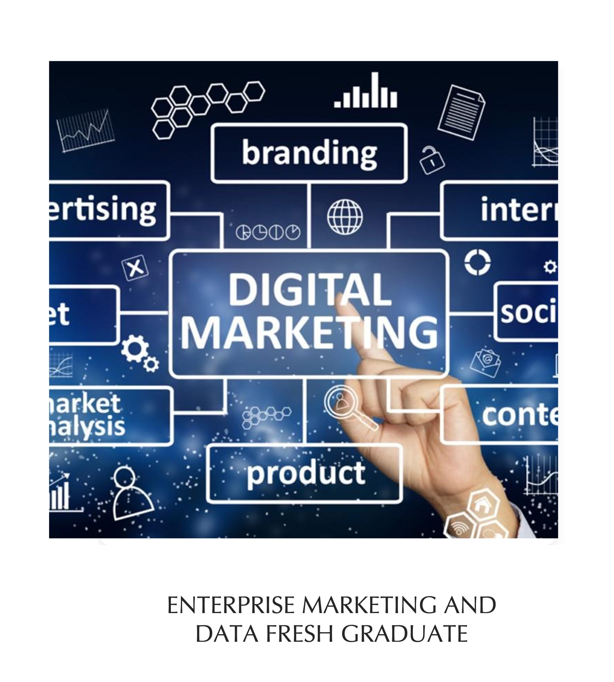 Enterprise Marketing and Data Fresh Graduate