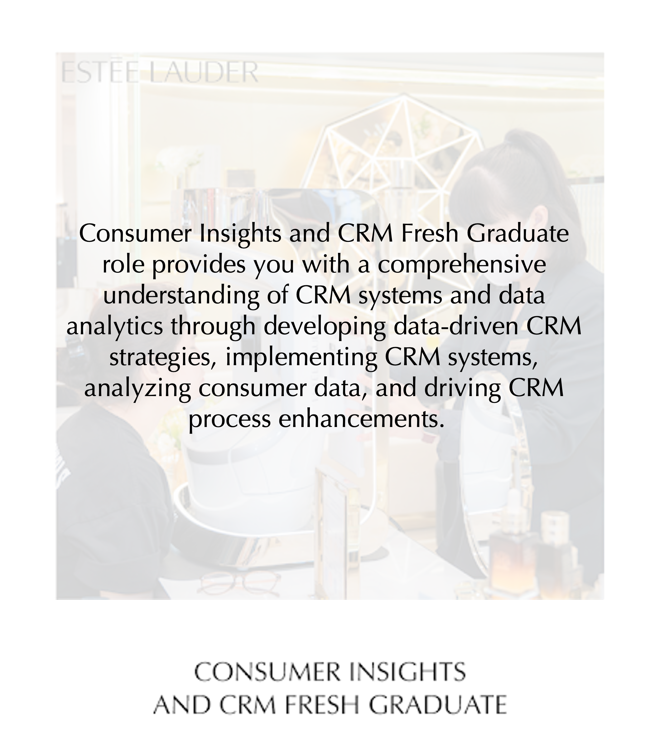 Consumer Insights and CRM Fresh Graduate