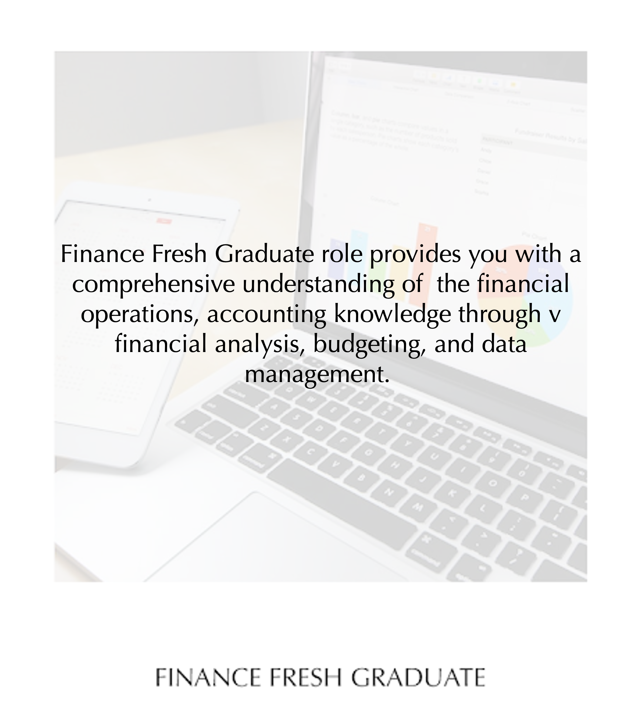 Finance Fresh Graduate