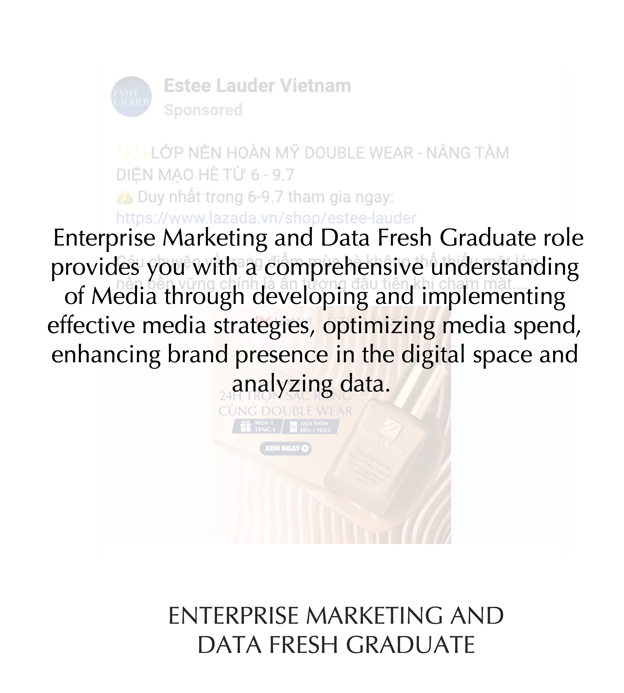 Enterprise Marketing and Data Fresh Graduate