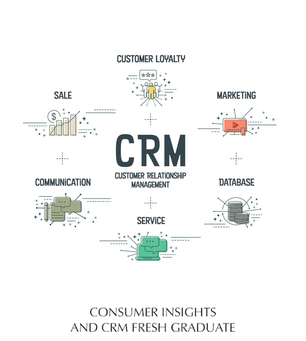 Consumer Insights and CRM Fresh Graduate