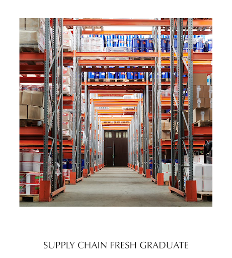 Supply chain Fresh Graduate