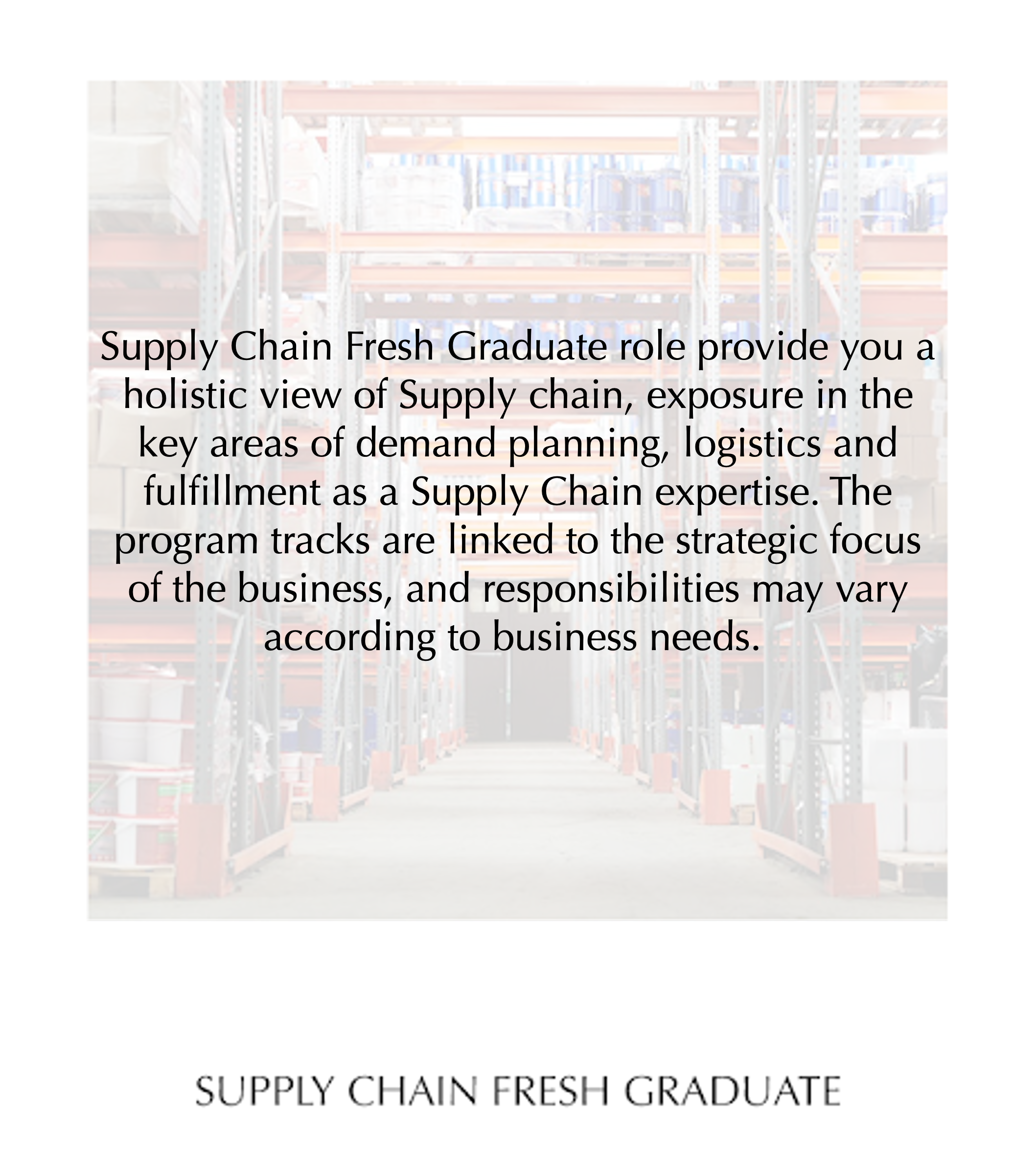 Supply chain Fresh Graduate