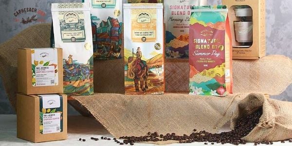 Mua cafe hạt ngon ở đâu? – Gợi ý địa chỉ uy tín, chất lượng