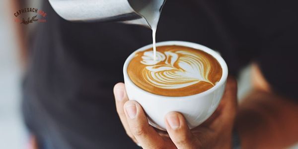 Thành phần của một ly cà phê Cappuccino