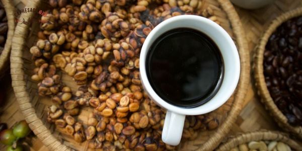 Tại sao cafe chồn lại có giá cao đắt đỏ?