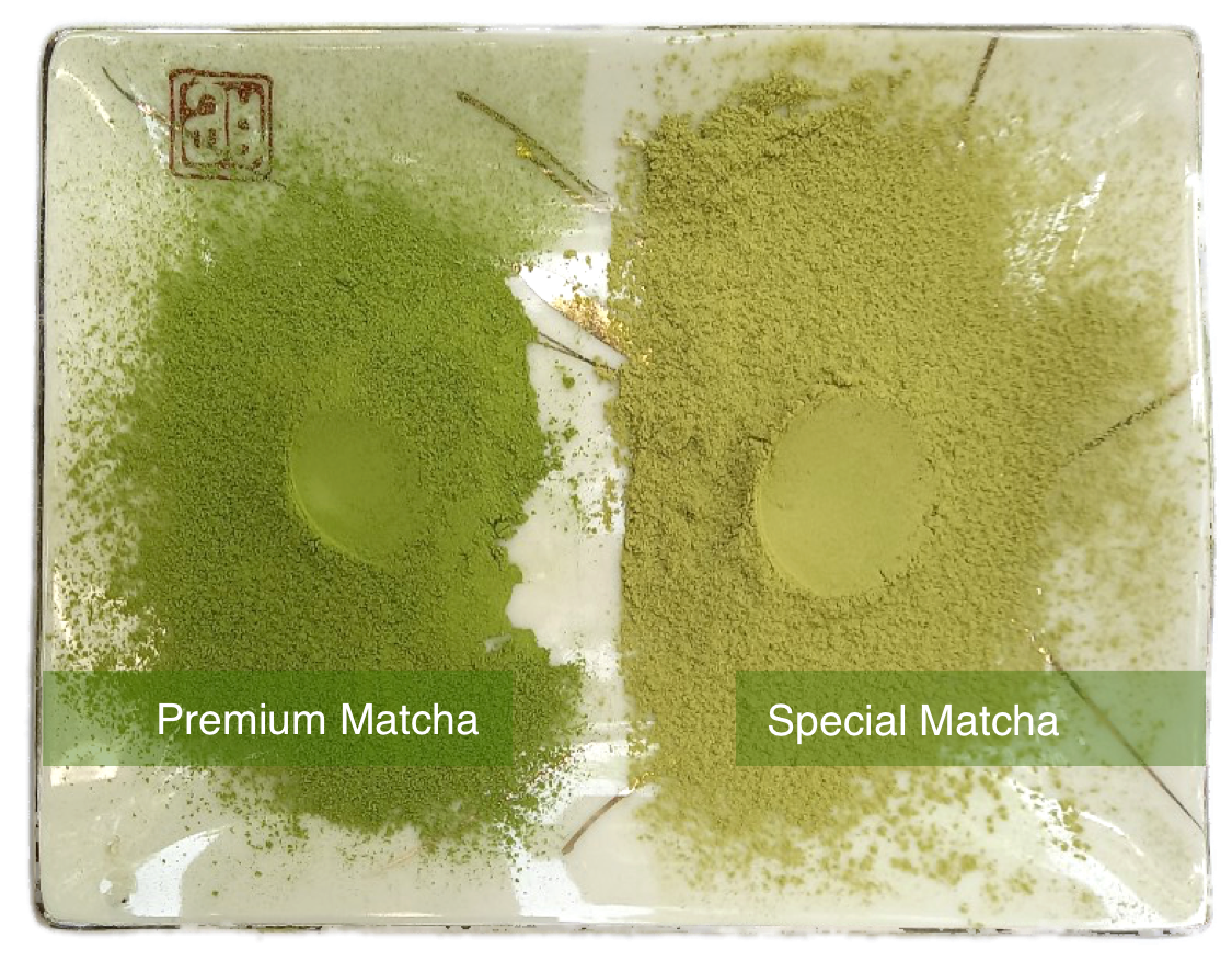 Sencha, Tencha, Matcha Tea Processing Machinery