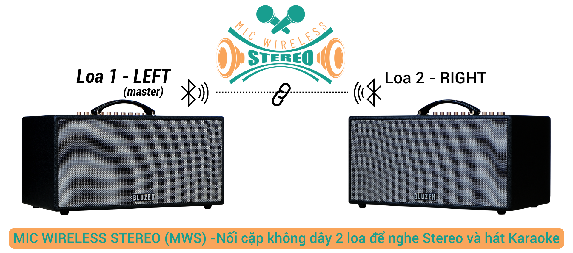 mic_wireless_stereo__mws