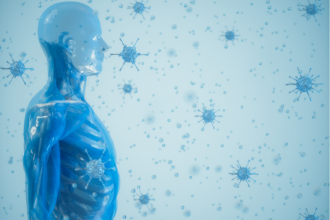 Tầm quan trọng của hệ miễn dịch