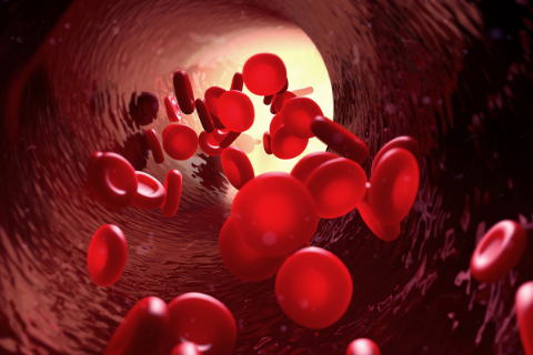 Bí quyết bồi bổ khí huyết cho người suy nhược