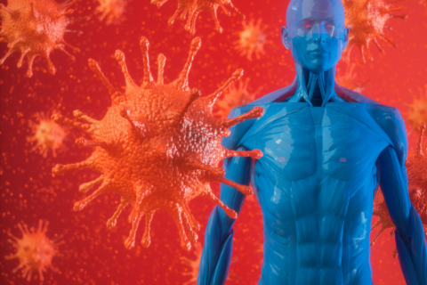 Cách nhận biết hệ miễn dịch suy giảm