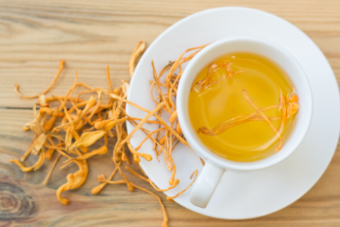 Đông trùng hạ thảo là gì?