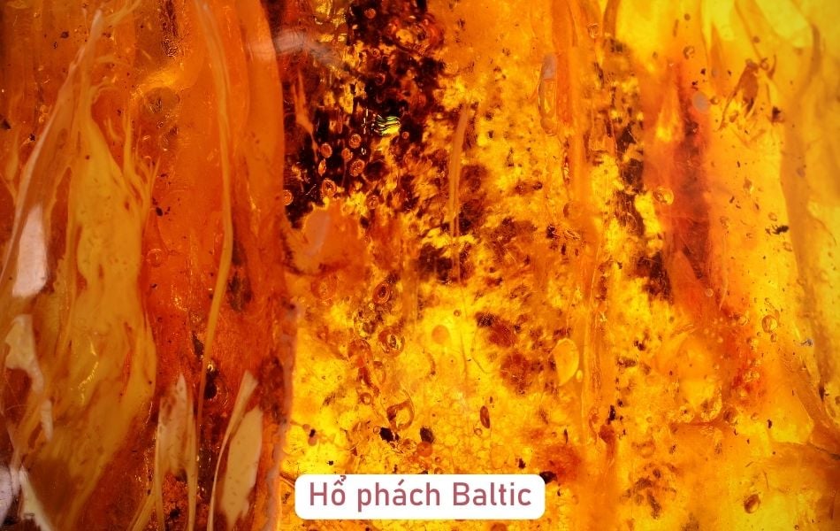 Các loại đá hổ phách hiện nay