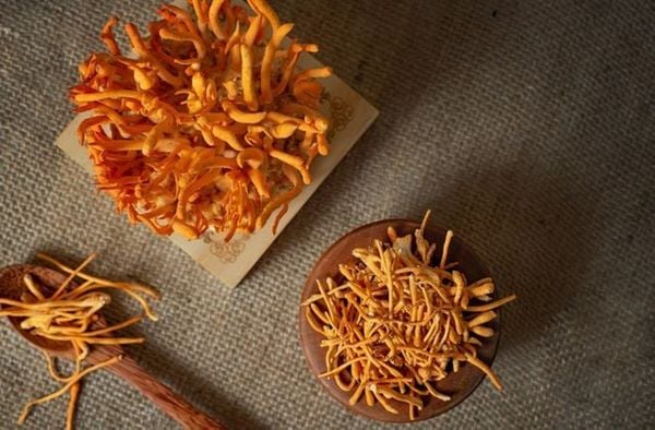 nên mua quà tết gì cho bố mẹ