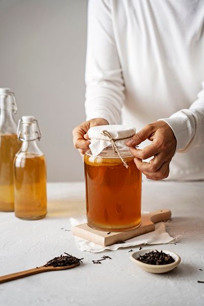 Hướng dẫn pha trà kombucha cho người mới bắt đầu – Trà thủy sâm Komboo