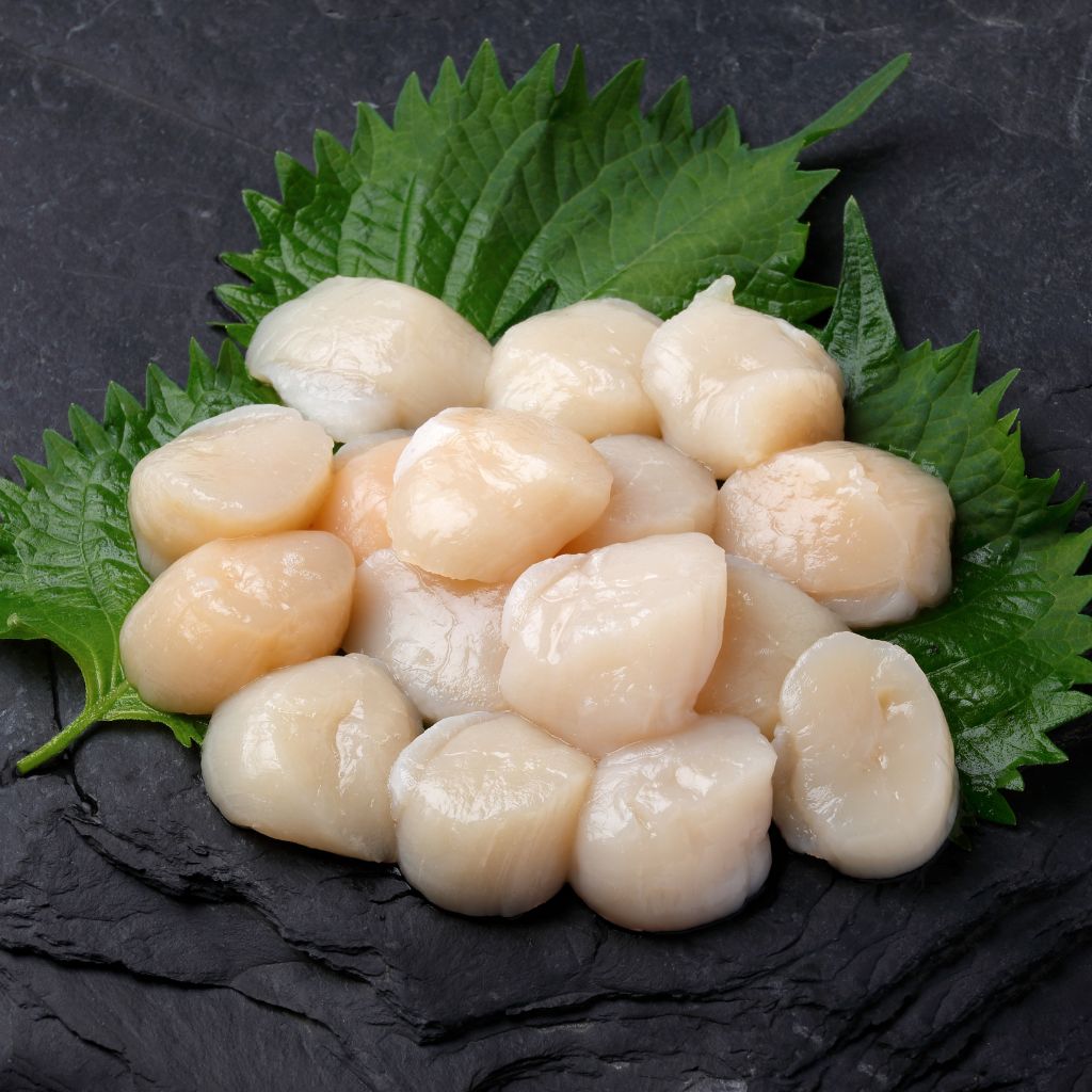 Sò Điệp Nhật Bản - Japanese Scallop (Sashimi Grade)