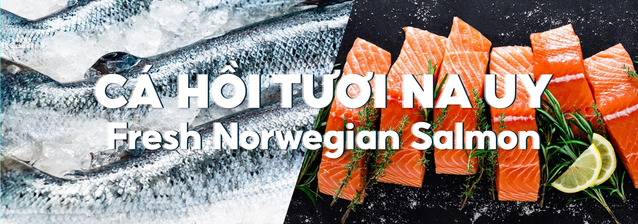 Cá Hồi Na Uy
