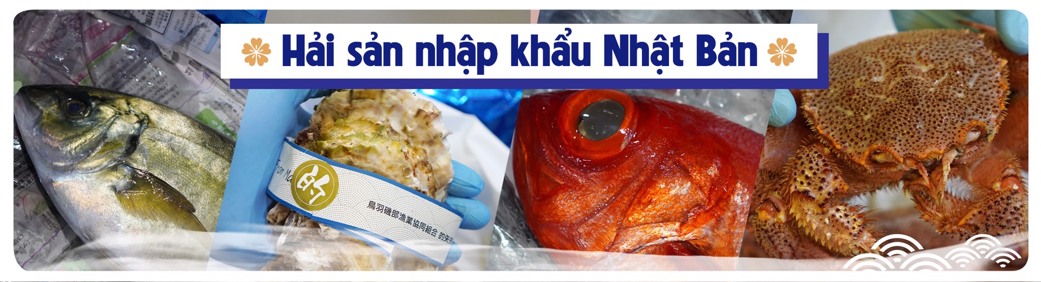 Hải Sản Nhật