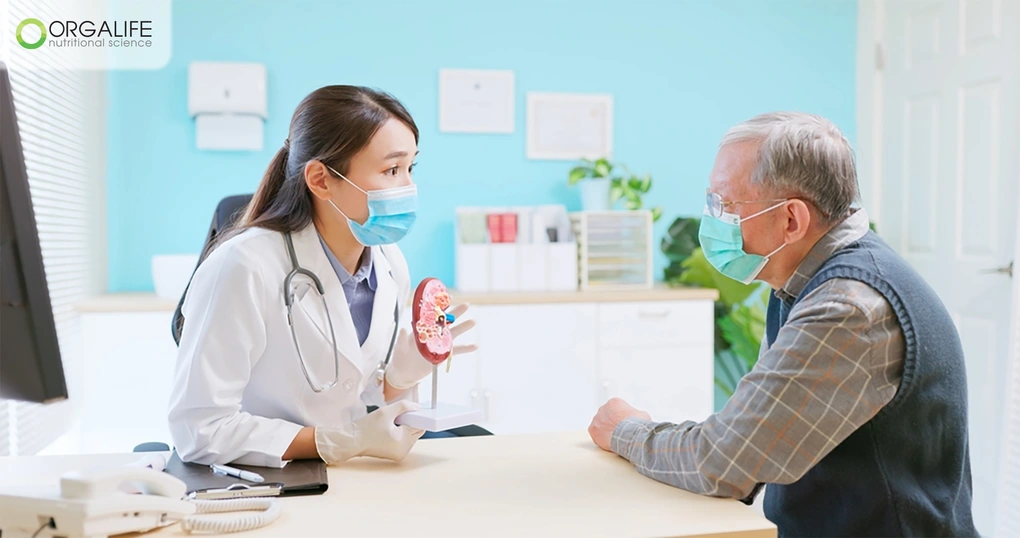 Leisure Kidney 1: Thực phẩm dinh dưỡng cho người cần giảm protein
