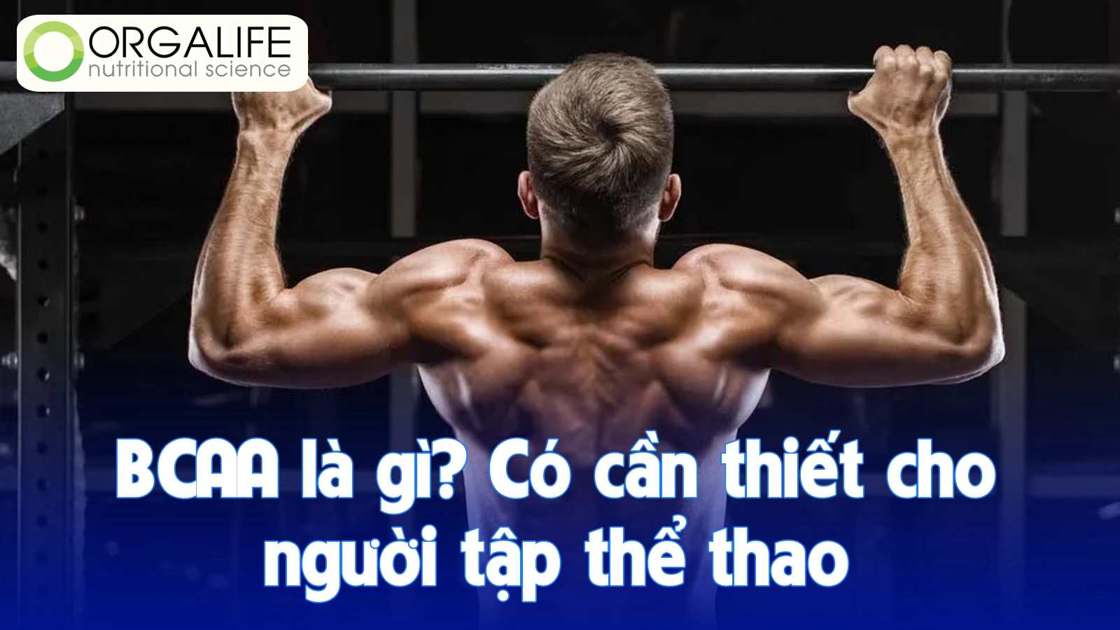 BCAA là gì? Có cần thiết cho người tập thể thao
